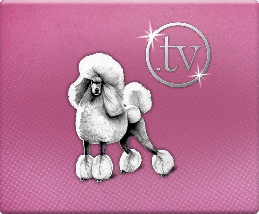 Pudelek.tv na Samsung Smart TV