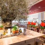 Akustyczny wieczór w Vapiano w Sukcesji
